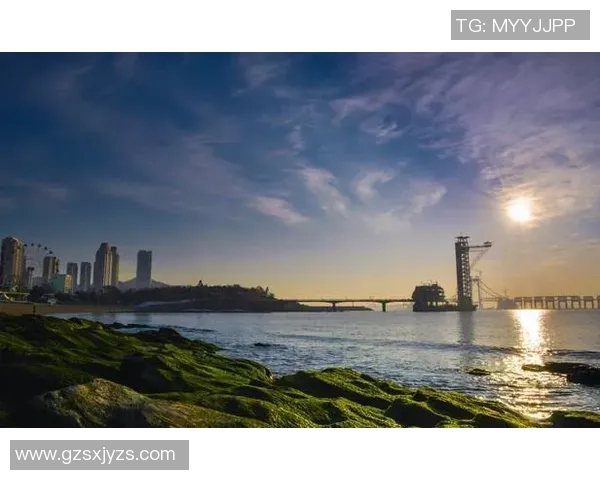 英乙U23赛事分析与预测揭示年轻球员的潜力与未来发展方向