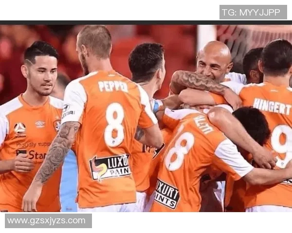 布里斯狮吼与墨尔本城激战在即谁将赢得澳超赛季巅峰对决