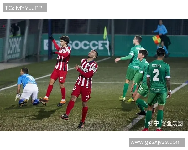 德乙精彩对决德雷斯与奥厄的较量谁能笑到最后