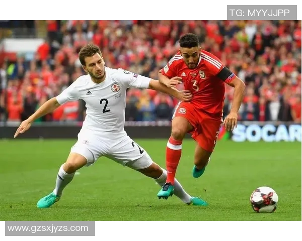 格鲁吉亚与爱沙尼亚足球历史交锋记录分析及战绩回顾