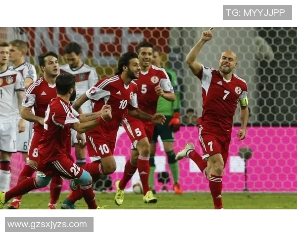 爱尔兰与格鲁吉亚欧预赛精彩对决比分揭晓引发热议