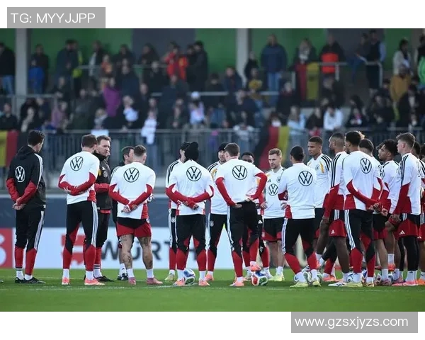 2012年世预赛德国队与瑞典队激战成名的经典对决回顾 2012年世预赛德国队与瑞典队激战成名的经典对决回顾