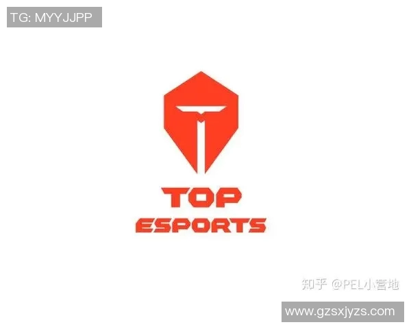 DOTA2专题分析：TES战队在比赛中的战术运用与经验分享