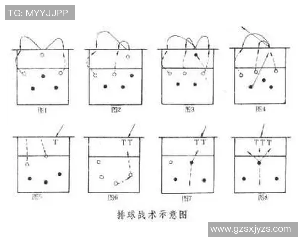 南京排球队防反策略深度解析与战术创新探讨