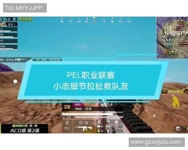 和平精英技术排行榜揭晓RNG战队强势跻身第三名引发热议