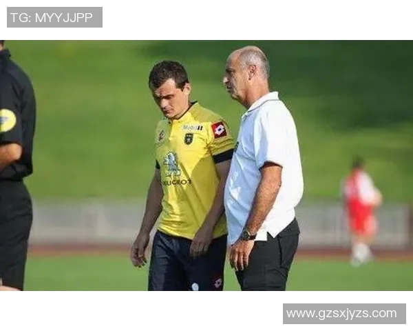 梅斯与特鲁瓦历史交锋比分回顾及分析