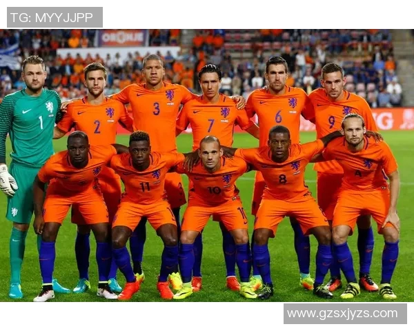 荷兰与瑞典历史交锋记录分析及比赛结果回顾