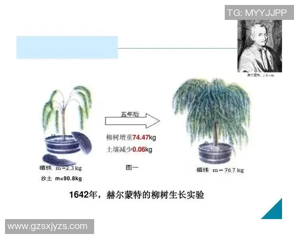 邓伯什与赫尔蒙特的科学争论与思想碰撞探讨