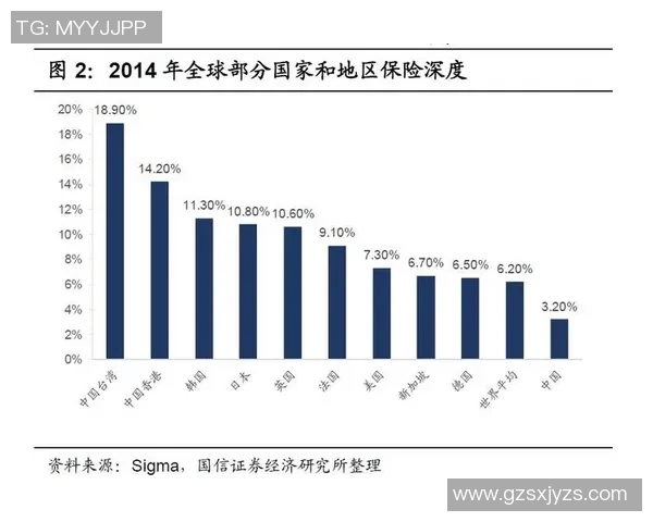重庆排球队的战术变革与球员适应性分析深度探讨